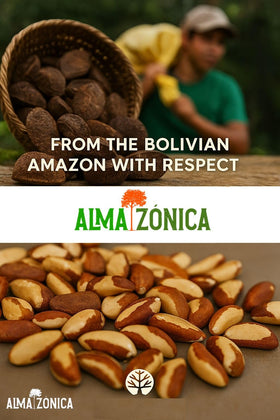 ALMA ZÓNICA close-up of Brazil nuts showing natural texture