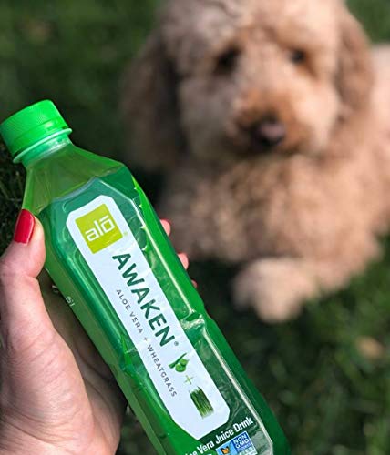 ALO AWAKEN real aloe pulp slices visual suggesting farm-to-bottle freshness.