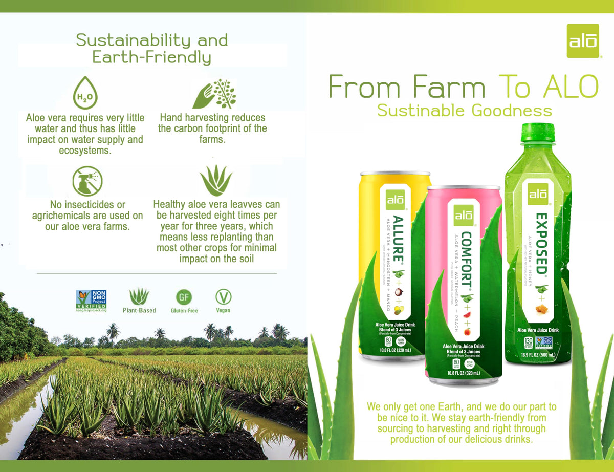 ALO Comfort 12-pack ready for everyday refreshment and sharing.