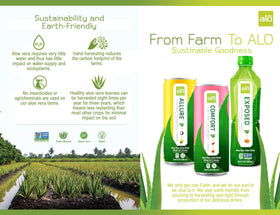 ALO Comfort 12-pack ready for everyday refreshment and sharing.