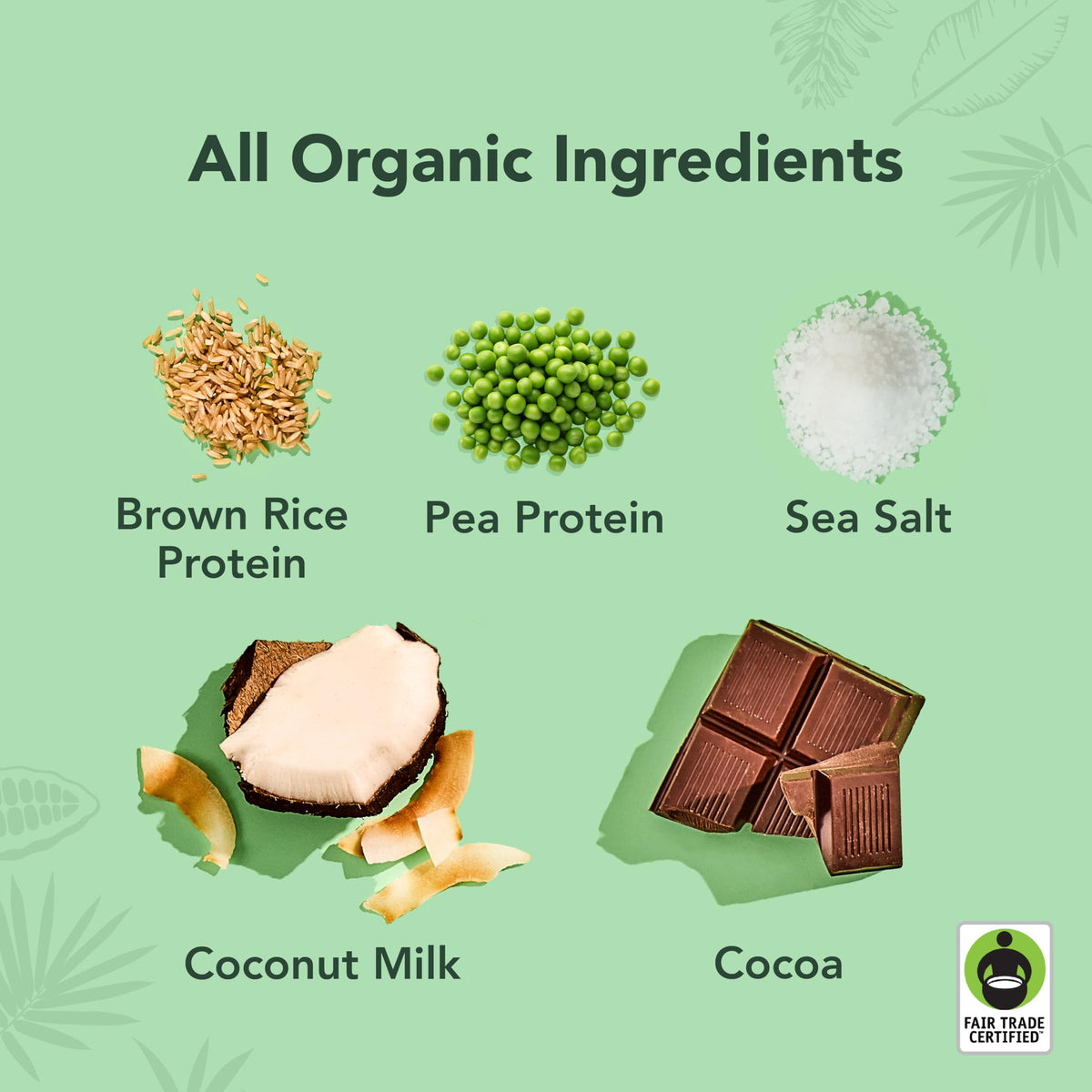 ALOHA Chocolate Sea Salt Protein Drink ingredients highlight organic coconut milk and plant protein