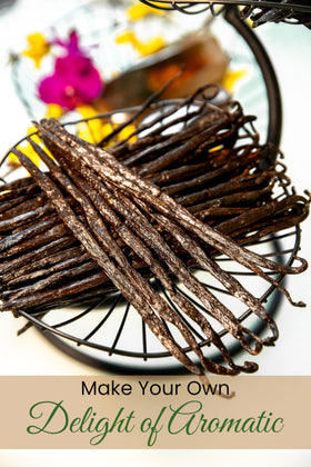 Aloka Vanilla Grade A Bourbon pods close-up showing rich aroma for desserts.