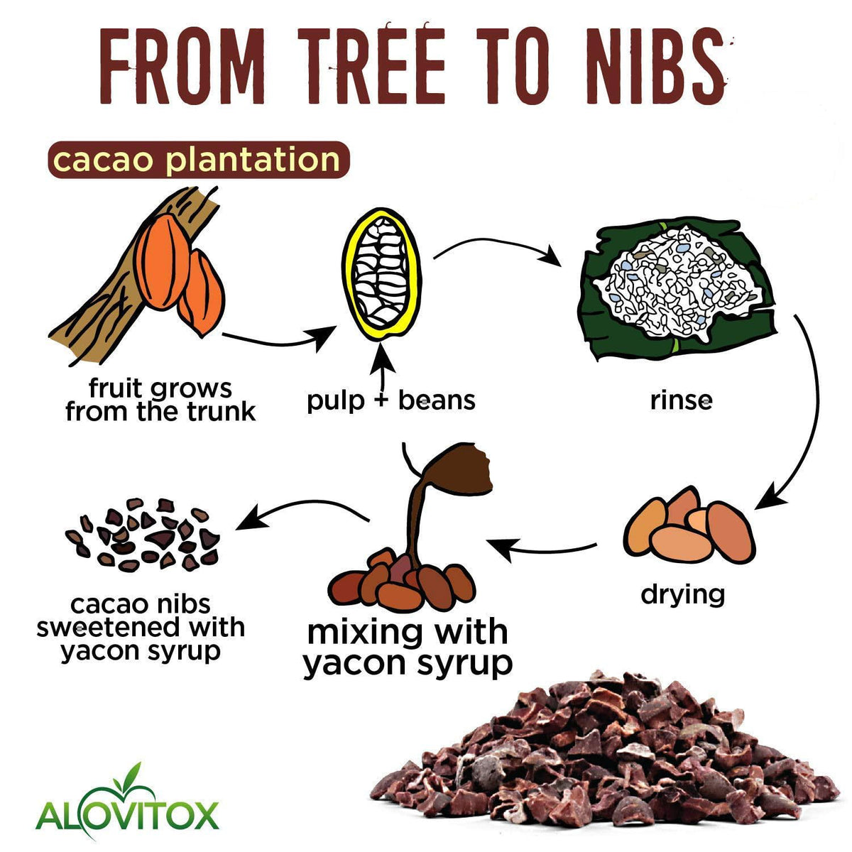 Alovitox cacao nibs and yacon syrup displayed in a glass jar.