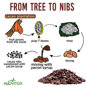 Alovitox cacao nibs and yacon syrup displayed in a glass jar.
