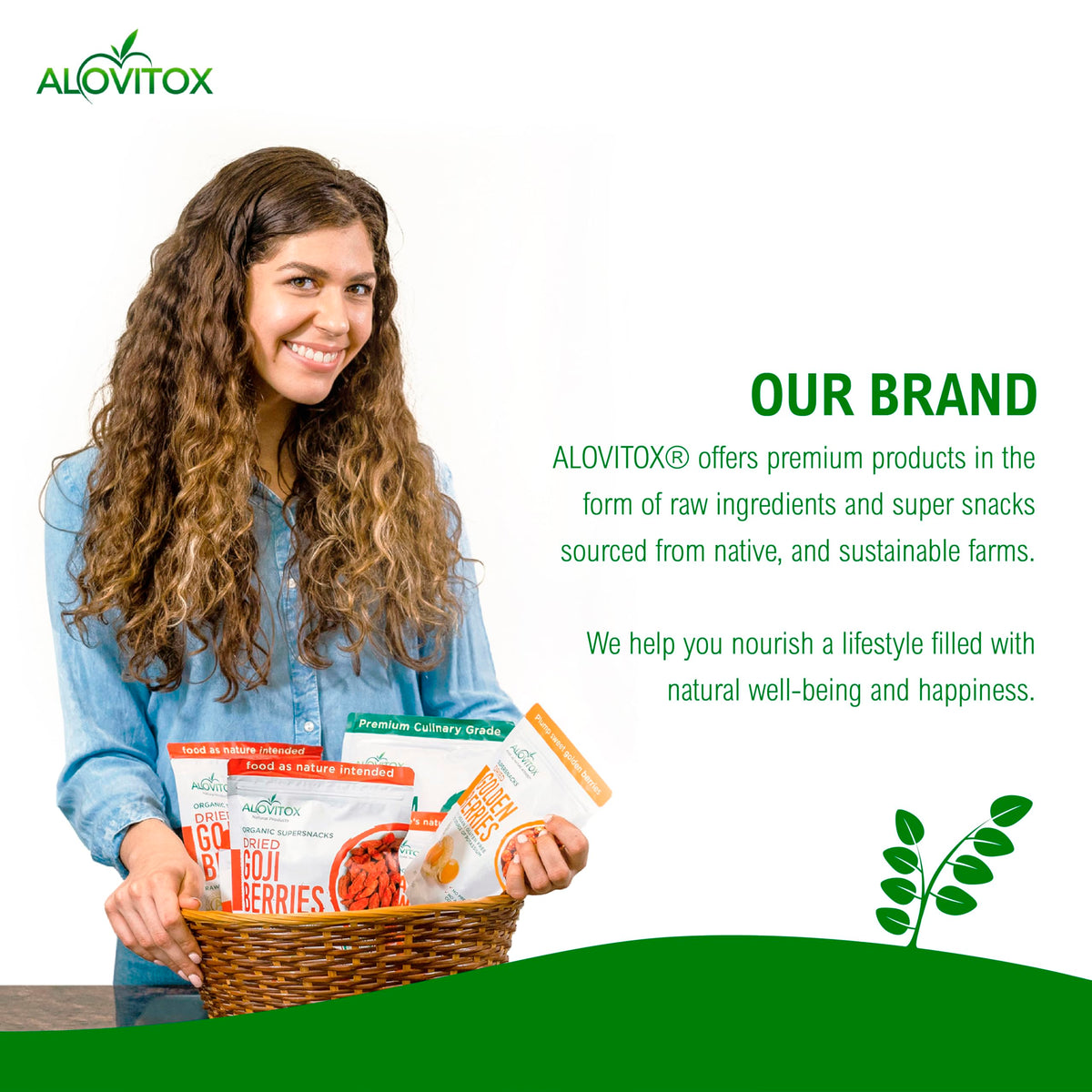 Alovitox Yacon Syrup usage tips for healthy sweetening ideas