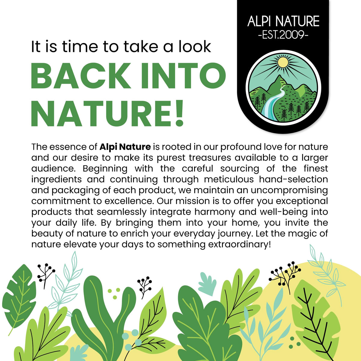 Alpi Nature Yarrow Tea single-ingredient herb for caffeine-free infusions.