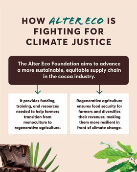 Alter Eco 60-count box shown as a convenient gift or pantry staple