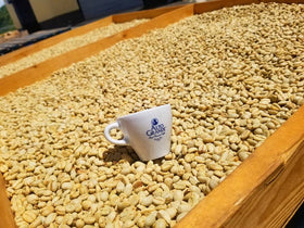 Alto Grande steaming cup suggesting inviting morning ritual
