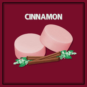 Closeup of Altoids Cinnamon mints tin highlighting bold flavor and compact packaging.