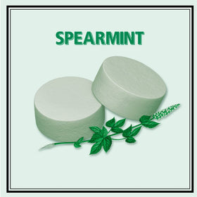 Altoids Spearmint tin closeup highlights bold mint flavor and sturdy portable packaging.