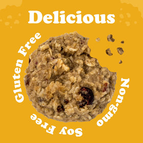 ALYSSA'S Oatmeal Bites on the go, a protein-rich gluten-free snack