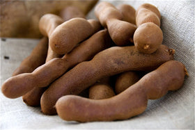 Amazing Chiles & Spices tamarind enhances Thai curry providing balanced tartness and depth.