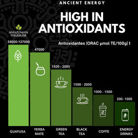 Amazonian Treasure Guayusa rainforest origin highlights ethical sourcing and sustainability.