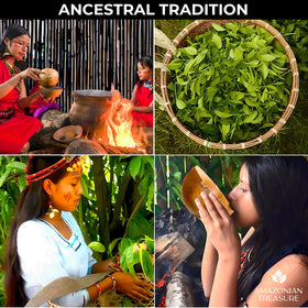 Amazonian Treasure Guayusa produced in Ecuador's top facility with ISO standards.