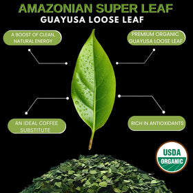 Amazonian Treasure Guayusa leaf closeup reveals vibrant, high-quality leaves.