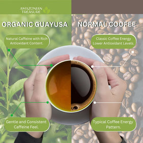 Close-up of Amazonian Treasure Guayusa leaves shows vibrant color and premium quality.