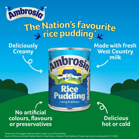 A bowl of Ambrosia Devon Rice Pudding ready to enjoy as a snack.