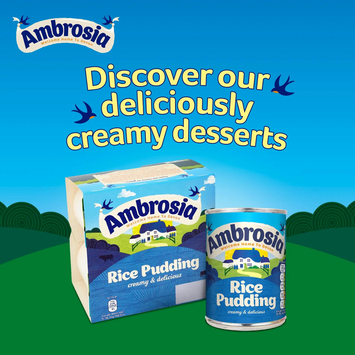 Warm Ambrosia Devon Rice Pudding with cinnamon for a cozy dessert.