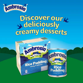 Warm Ambrosia Devon Rice Pudding with cinnamon for a cozy dessert.