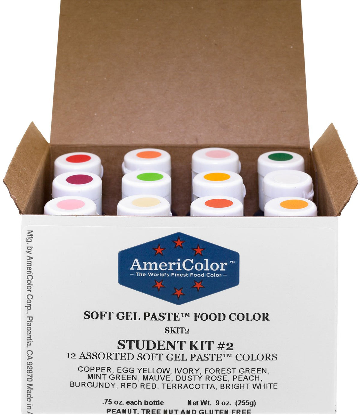 AmeriColor Student Kit 2 with 12 bottles ready for vibrant decorating projects.