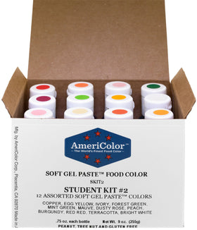 AmeriColor Student Kit 2 with 12 bottles ready for vibrant decorating projects.