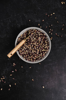 Originating from Amish country, Midnight Blue kernels offer traditional small-batch quality.