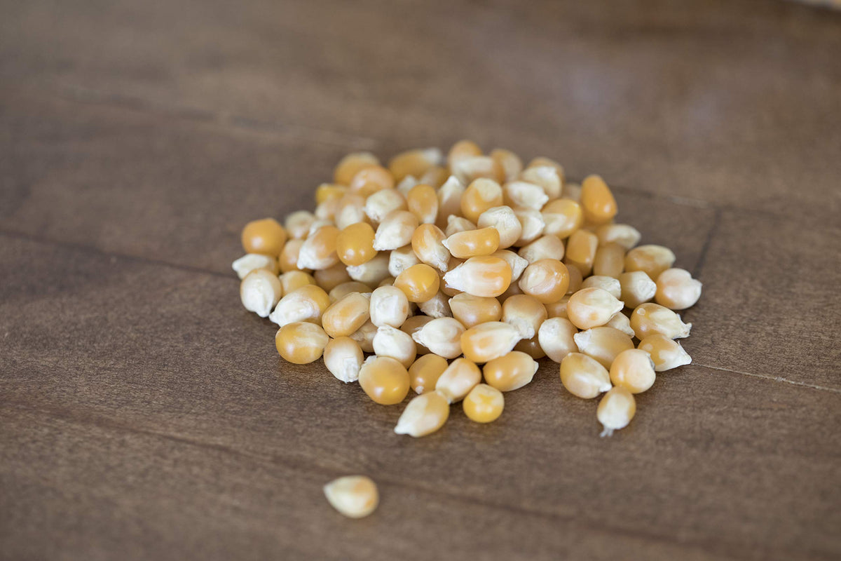 Amish Country Popcorn fresh from Amish Country farms