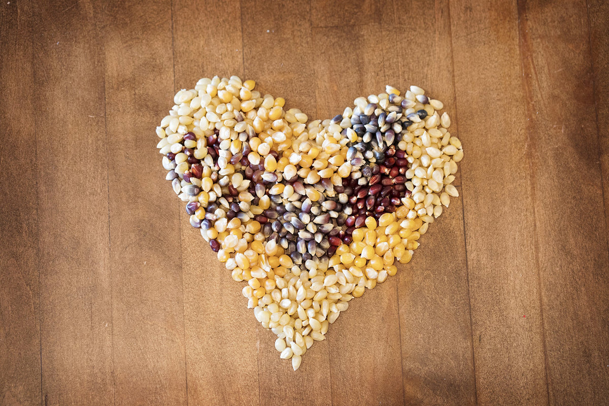 Amish Country Popcorn popping action with fresh kernels
