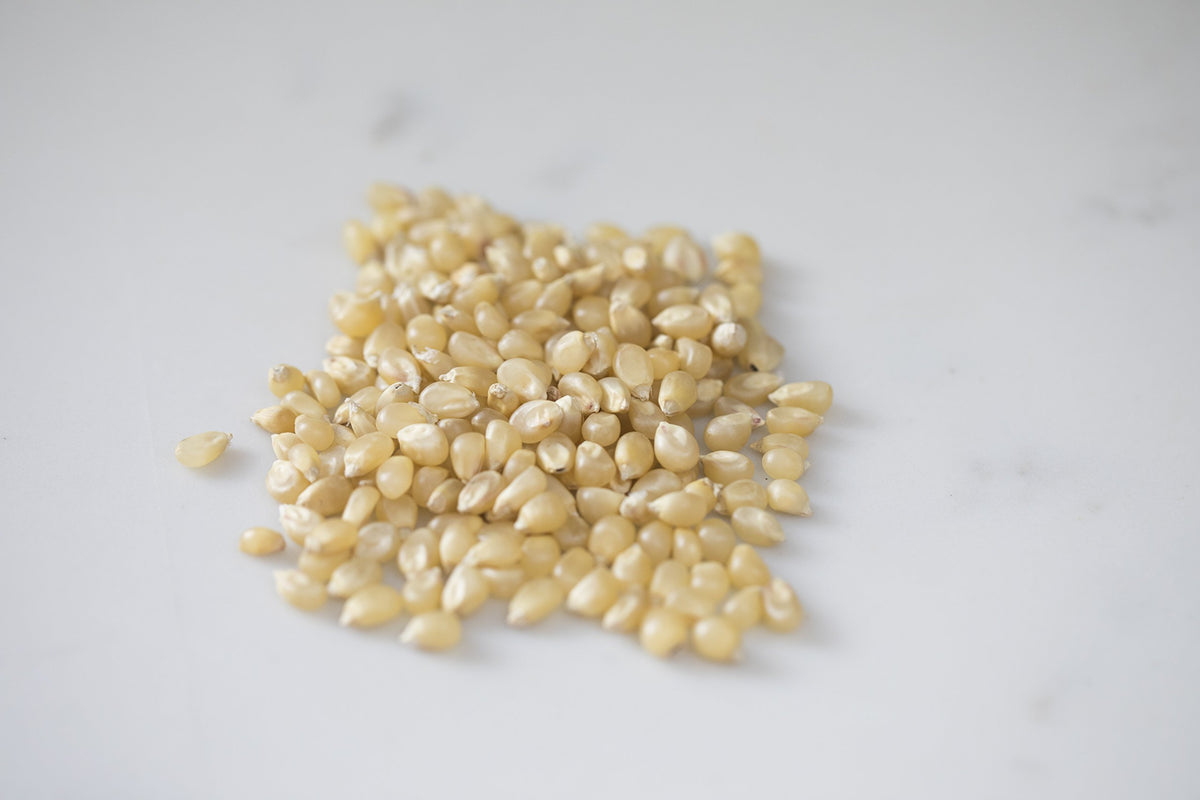 Amish Country Popcorn medium white kernels for light, fluffy popcorn at home