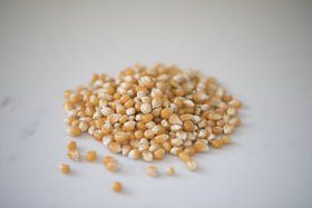 Amish Country Popcorn close-up of mushroom kernels for gourmet snacking.
