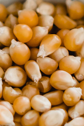Amish Country Popcorn non-GMO gluten-free nut-free label communicates dietary appeal.