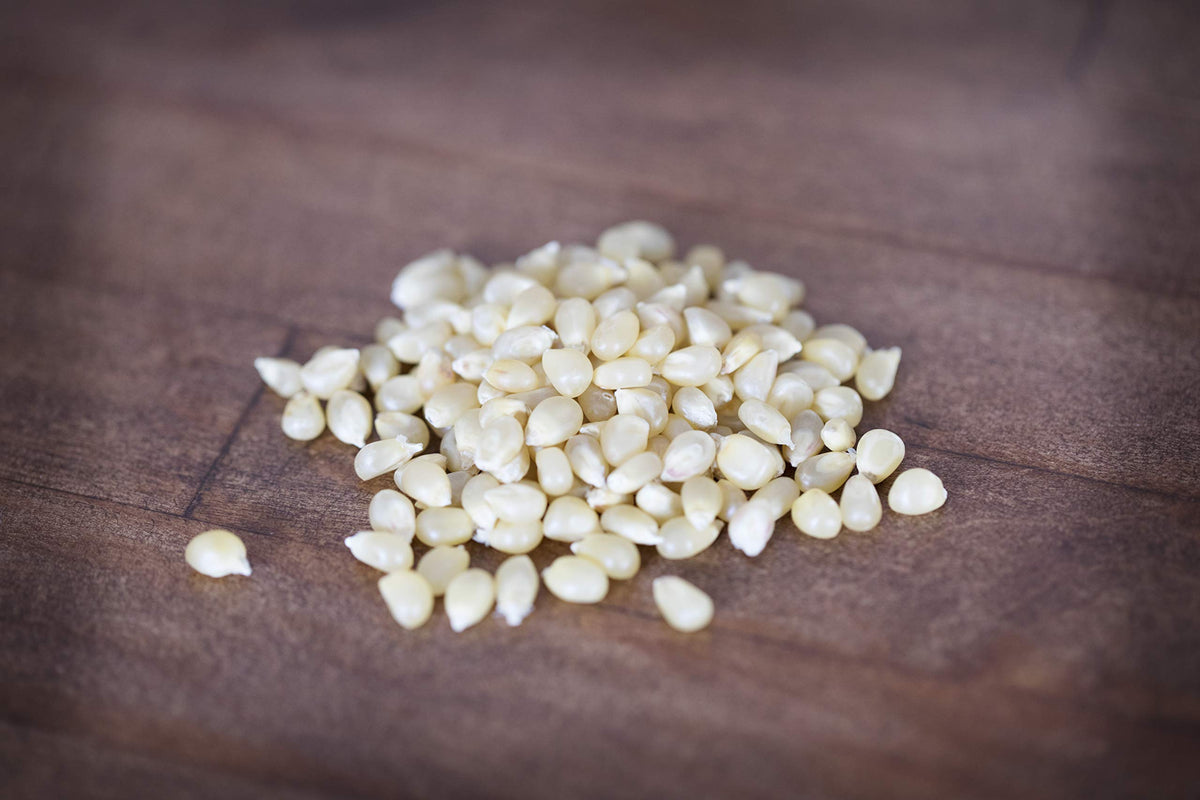 Popping Amish Country Popcorn in a pan for easy stovetop use.