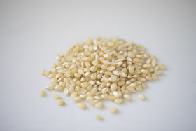Amish Country Popcorn popped kernels in bowl invite cozy movie night