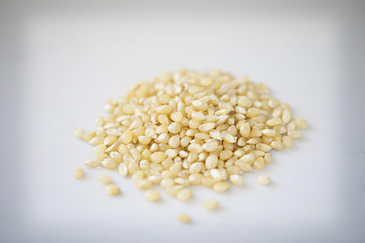 Amish Country Popcorn small tender kernels perfect for quick popping