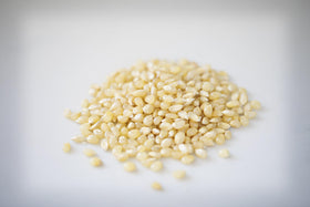 Amish Country Popcorn small tender kernels perfect for quick popping