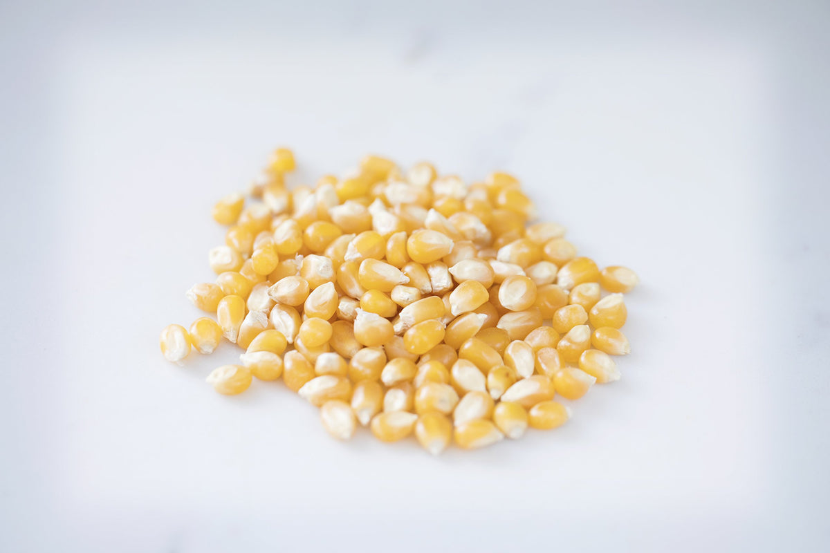 Storing Amish Country Popcorn in a sealed container for freshness