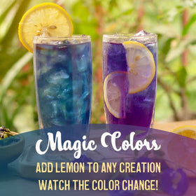 Ancient Choice butterfly pea flower powder cocktail color accent