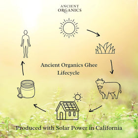 Ancient Organics kosher-certified ghee with USDA seal.