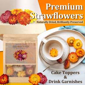 Andekas chrysanthemum petals 2–5 cm bloom for eye-catching dessert accents.