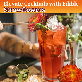 Andekas dried flowers as cocktail garnish, elevating beverages with natural color.