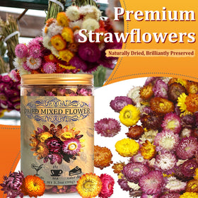 Andekas dried chrysanthemums petals in a colorful display for drinks and desserts.