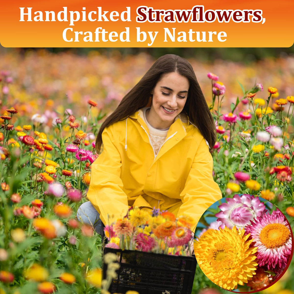 Andekas value pack jar of edible flowers for baking, cocktails, and crafts.
