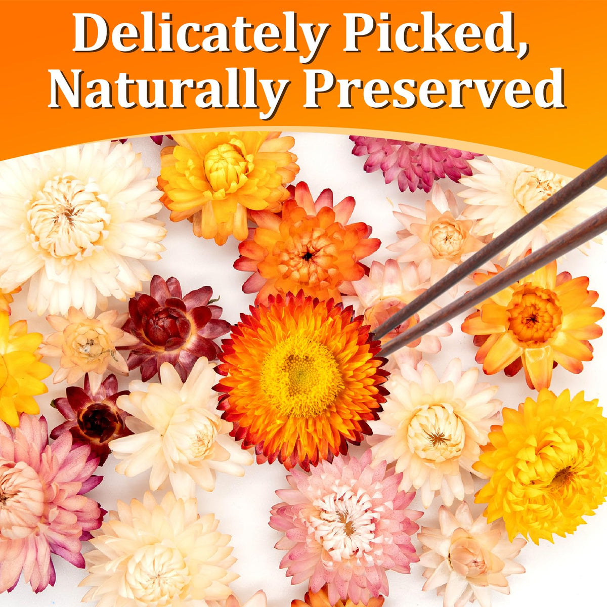 Andekas edible flowers tea garnish for aromatic, colorful infusions.