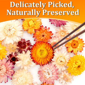 Andekas edible flowers tea garnish for aromatic, colorful infusions.