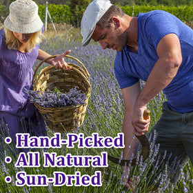 Andekas lavender sprigs in a protective tin, ideal for gifting.