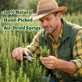 Andekas dried whole rosemary sprigs in clear tin for easy gifting