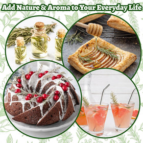 Andekas gift-ready rosemary tin for foodie friends