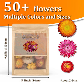 Andekas strawflowers mix enhances cupcakes with vibrant edible petals.