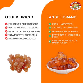 Angel Brand Gum Arabic art medium enables watercolor with smoother brushwork.