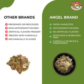 Angel Brand Senna pods, dried form for easy storage and brewing.